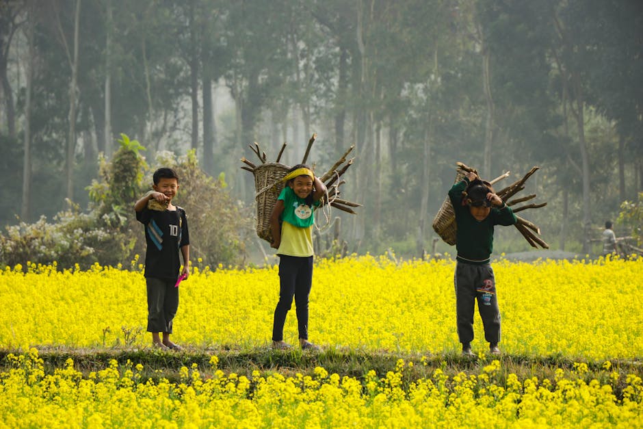 Three children carrying firewood in a vibrant yellow mustard field in rural Nepal.